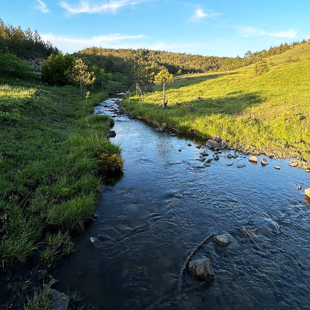 Zlatibor planinski ambijent