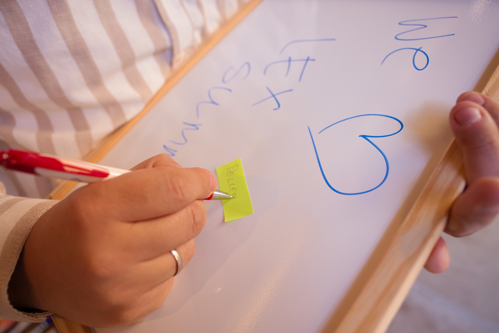 Dan 2 - 816A2650.jpg