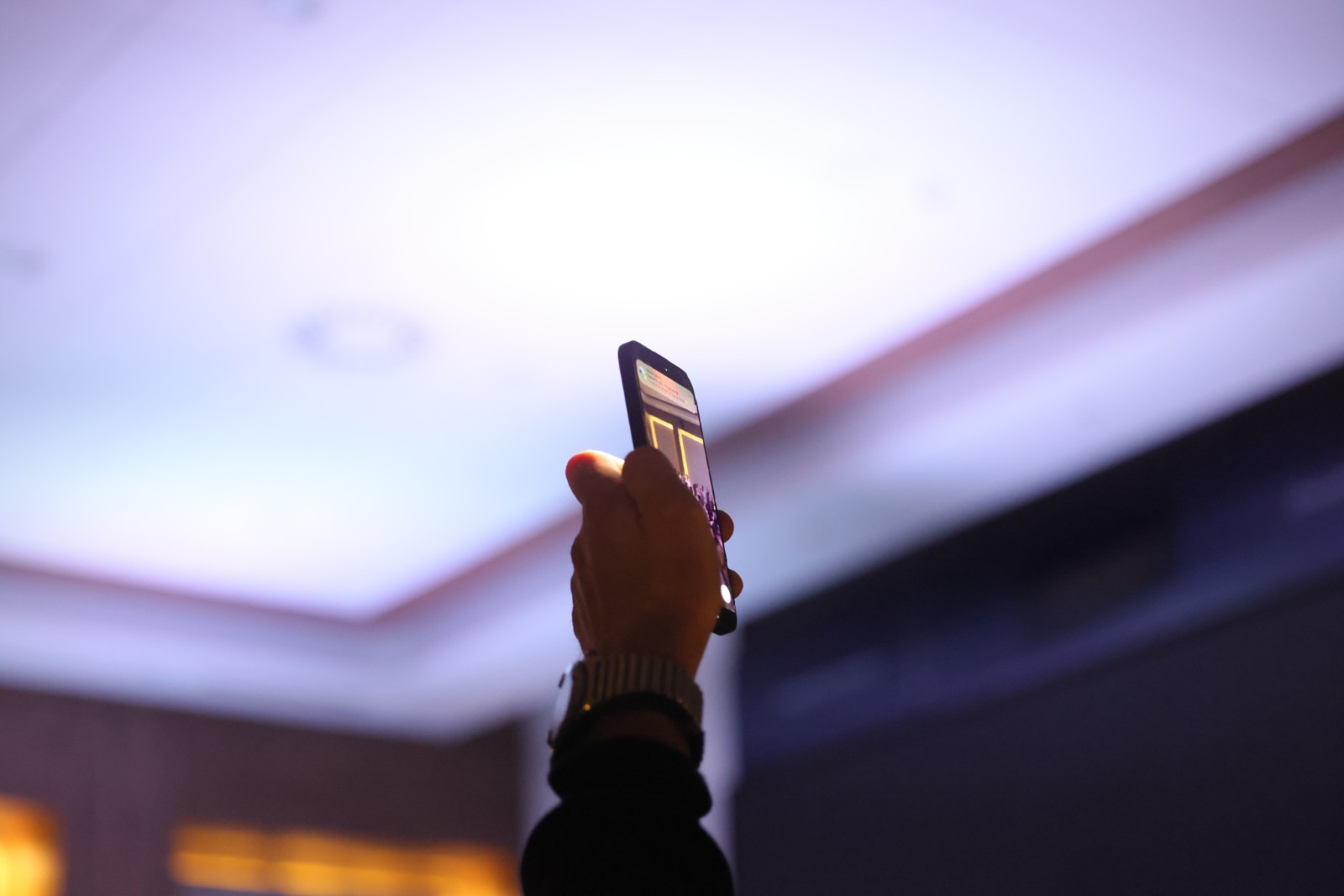 Gala veče - 816A3354.JPG