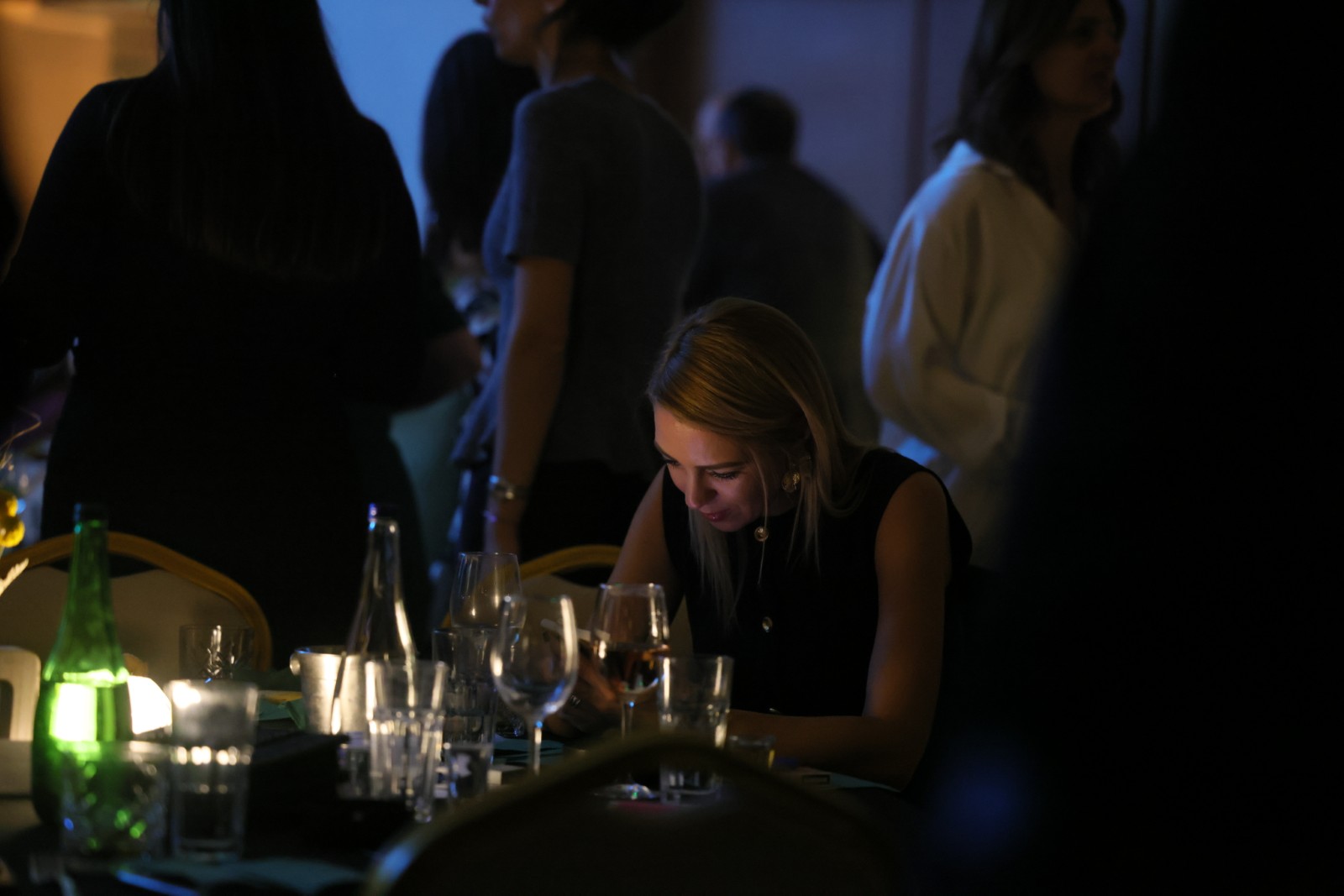 Gala veče - 816A3404.JPG