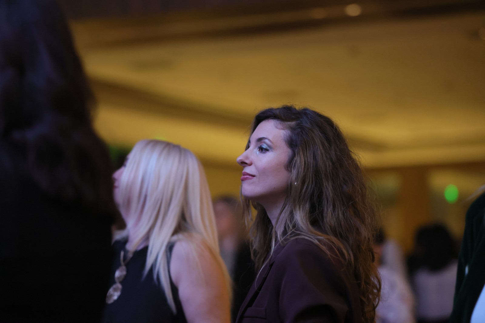 Gala veče - 816A3510.JPG