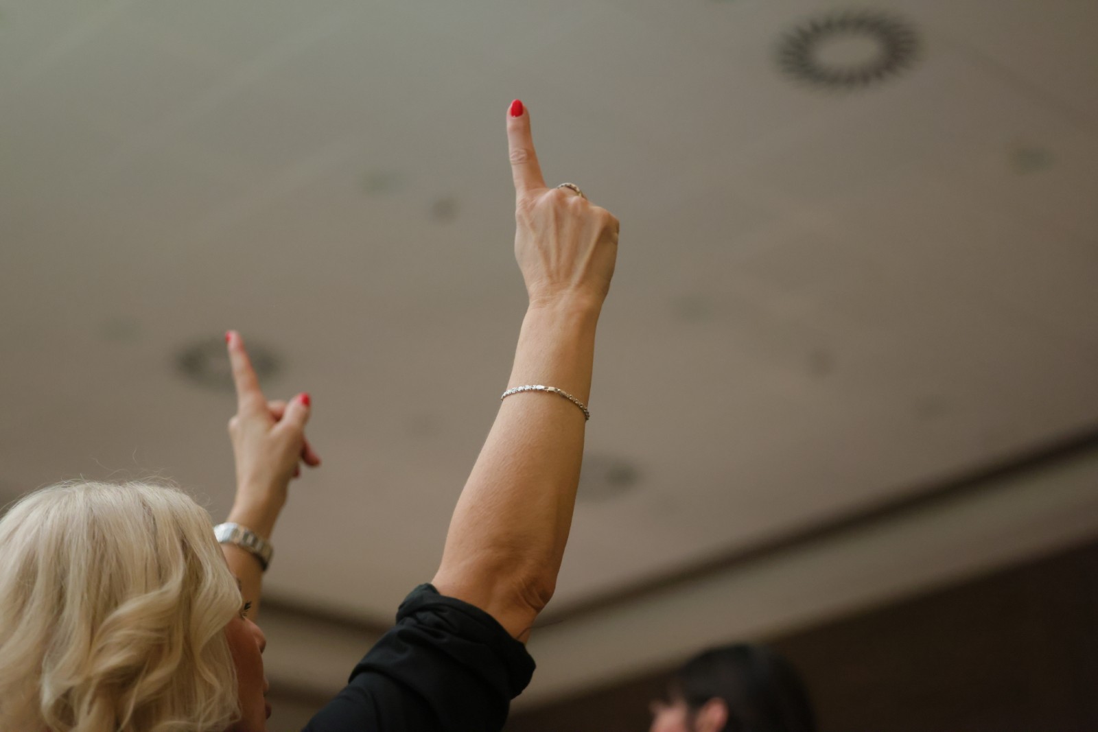 Gala veče - 816A3514.JPG